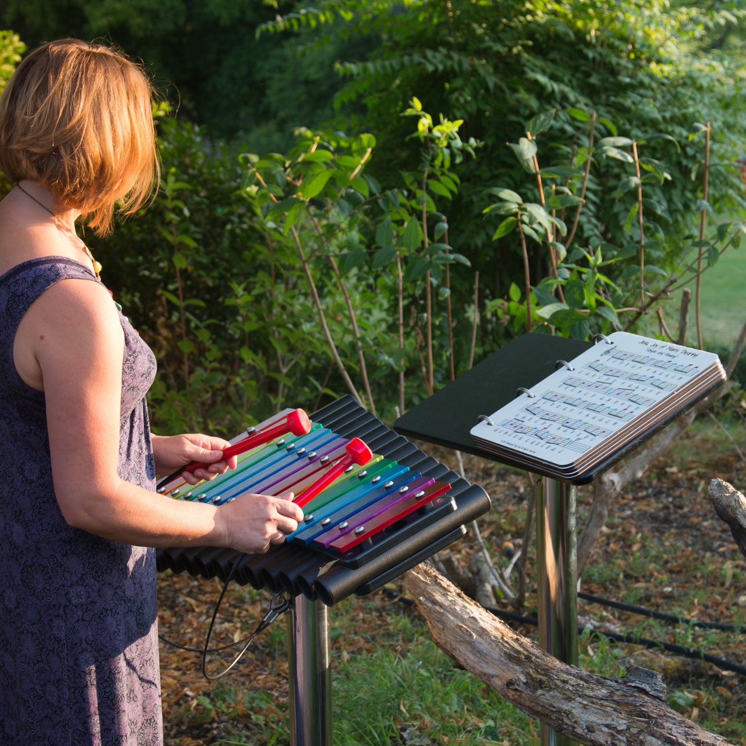Cavatina &amp;amp; Music Book