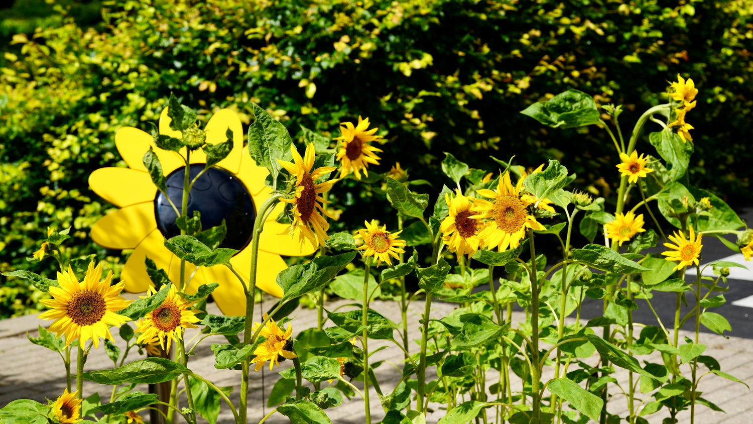 Load video: {"default" => nil}